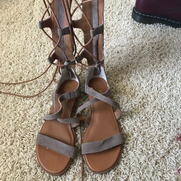 Gladiators by Jeffrey Campbell - Picture 6 of 8